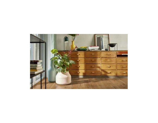 Trisluoksnė parketlentė Boen Stonewashed Castle Ąžuolas Soft Brown Espressivo 209 MM