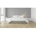 Akcija! Laminuotos grindys Kaindl AQUApro Select 8.0 Standard Evoke Classic