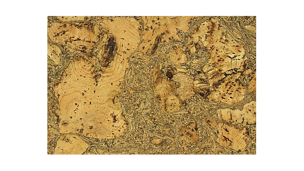 Kamštinė sienų danga Europa Grey nuotrauka