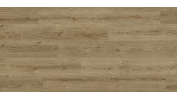 Laminuotos grindys Kaindl Natural Touch Standard 8.0 Ąžuolas