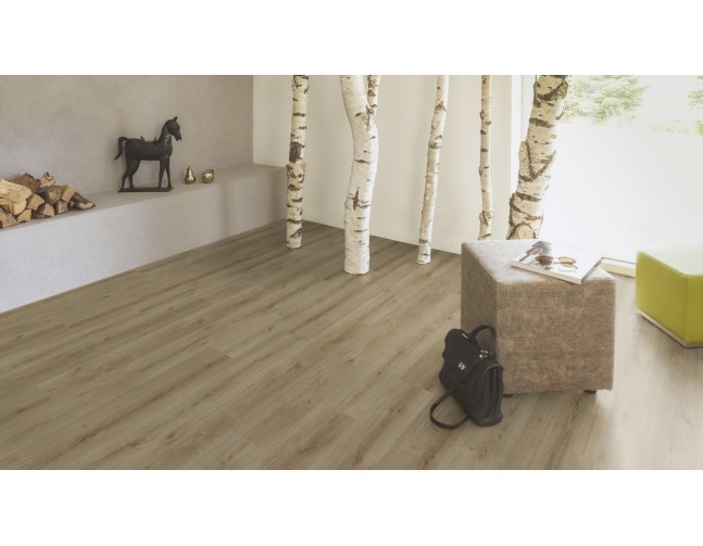 IŠPARDAVIMAS Laminuotos grindys Kaindl Natural Touch Standard 8.0 Ąžuolas Evoke Trend