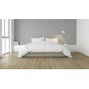 IŠPARDAVIMAS Laminuotos grindys Kaindl Natural Touch Standard 8.0 Ąžuolas Evoke Trend