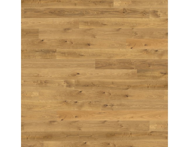 Trisluoksnė lakuota parketlentė Haro Plank Ąžuolas Universal Natural Brushed Economy
